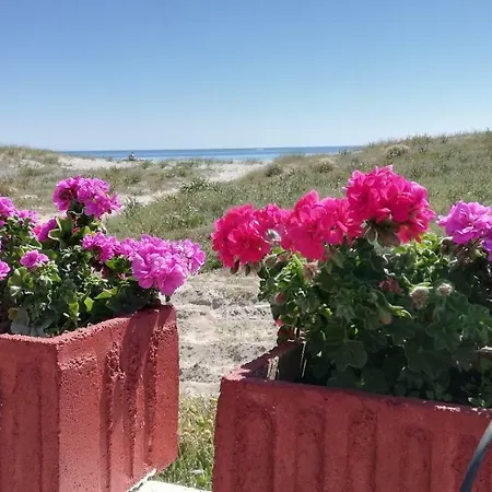 Casa Fronte Mare La Caletta Feriehus Siniscola